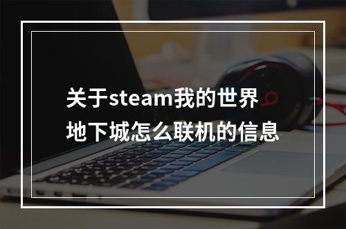 关于steam我的世界地下城怎么联机的信息