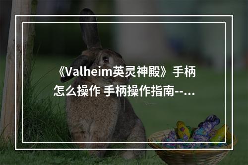 《Valheim英灵神殿》手柄怎么操作 手柄操作指南--安卓攻略网