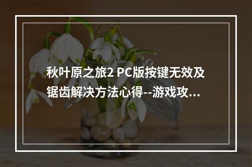 秋叶原之旅2 PC版按键无效及锯齿解决方法心得--游戏攻略网