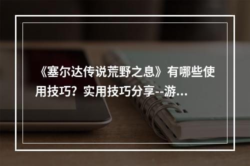 《塞尔达传说荒野之息》有哪些使用技巧？实用技巧分享--游戏攻略网