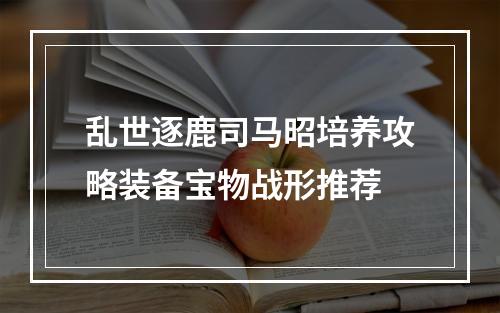 乱世逐鹿司马昭培养攻略装备宝物战形推荐