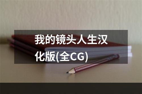 我的镜头人生汉化版(全CG)