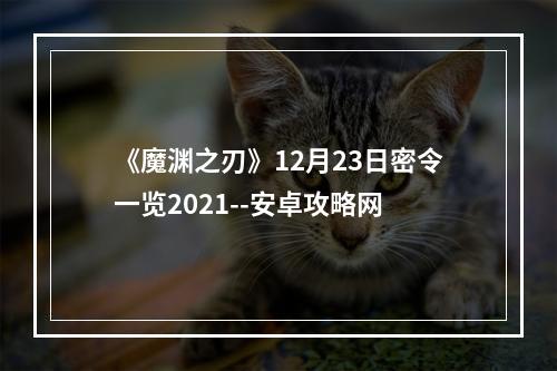 《魔渊之刃》12月23日密令一览2021--安卓攻略网