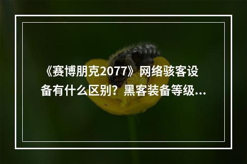 《赛博朋克2077》网络骇客设备有什么区别？黑客装备等级介绍--安卓攻略网