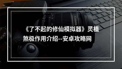 《了不起的修仙模拟器》灵植煞极作用介绍--安卓攻略网