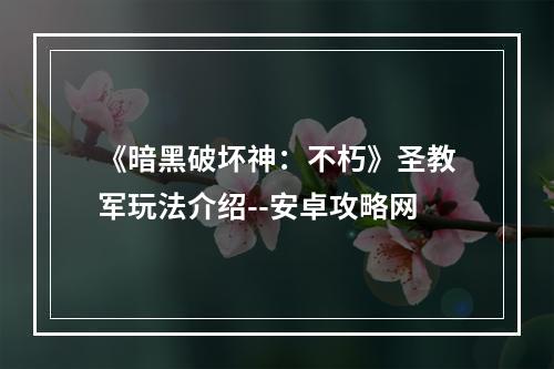 《暗黑破坏神：不朽》圣教军玩法介绍--安卓攻略网