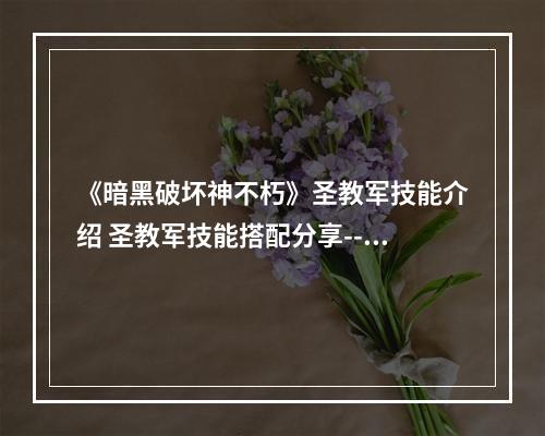 《暗黑破坏神不朽》圣教军技能介绍 圣教军技能搭配分享--手游攻略网