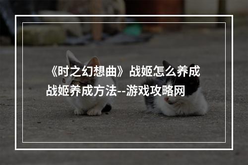 《时之幻想曲》战姬怎么养成 战姬养成方法--游戏攻略网