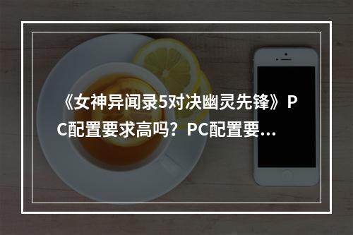 《女神异闻录5对决幽灵先锋》PC配置要求高吗？PC配置要求一览--游戏攻略网