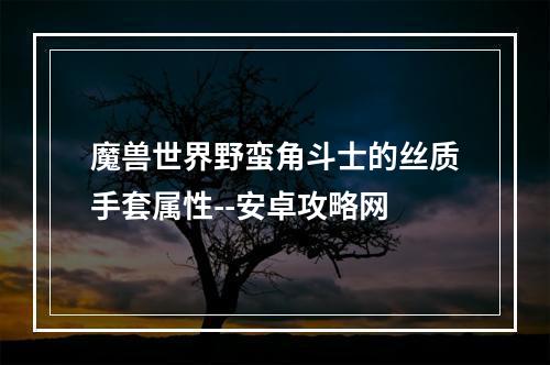 魔兽世界野蛮角斗士的丝质手套属性--安卓攻略网