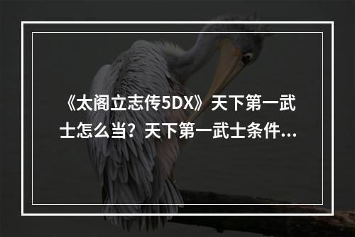 《太阁立志传5DX》天下第一武士怎么当？天下第一武士条件介绍--游戏攻略网