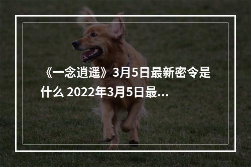 《一念逍遥》3月5日最新密令是什么 2022年3月5日最新密令--安卓攻略网