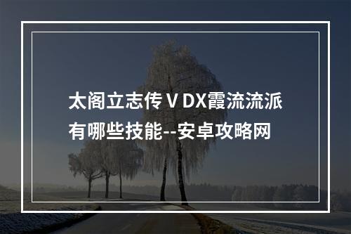 太阁立志传ⅤDX霞流流派有哪些技能--安卓攻略网