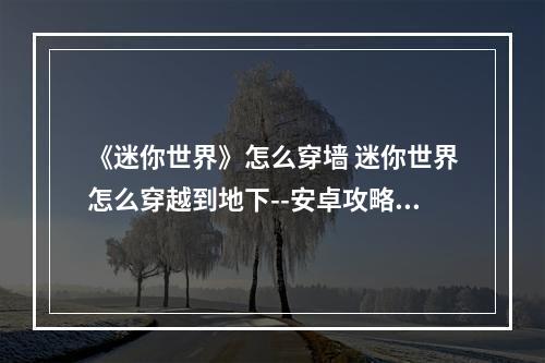 《迷你世界》怎么穿墙 迷你世界怎么穿越到地下--安卓攻略网