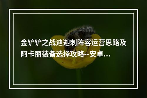 金铲铲之战迪迦刺阵容运营思路及阿卡丽装备选择攻略--安卓攻略网