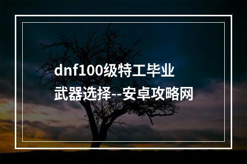 dnf100级特工毕业武器选择--安卓攻略网