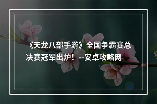 《天龙八部手游》全国争霸赛总决赛冠军出炉！--安卓攻略网