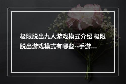 极限脱出九人游戏模式介绍 极限脱出游戏模式有哪些--手游攻略网