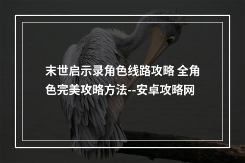 末世启示录角色线路攻略 全角色完美攻略方法--安卓攻略网