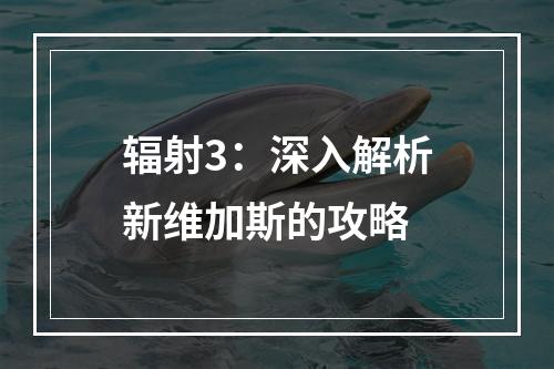 辐射3：深入解析新维加斯的攻略