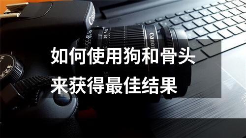 如何使用狗和骨头来获得最佳结果