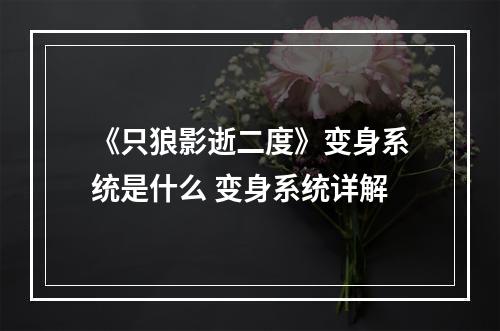 《只狼影逝二度》变身系统是什么 变身系统详解