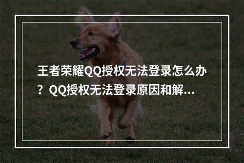 王者荣耀QQ授权无法登录怎么办？QQ授权无法登录原因和解决方法[多图]