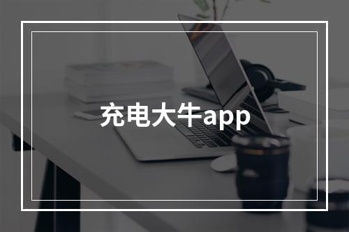 充电大牛app