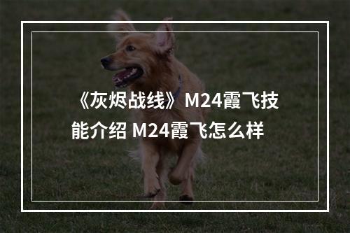 《灰烬战线》M24霞飞技能介绍 M24霞飞怎么样