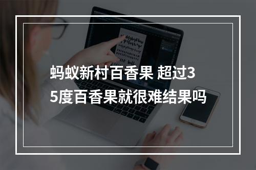 蚂蚁新村百香果 超过35度百香果就很难结果吗