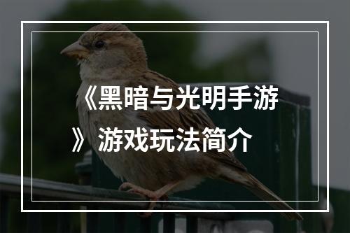 《黑暗与光明手游》游戏玩法简介