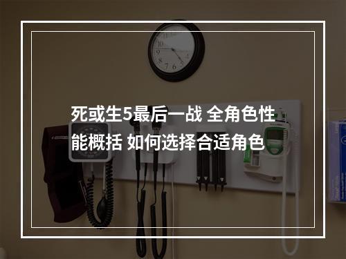 死或生5最后一战 全角色性能概括 如何选择合适角色