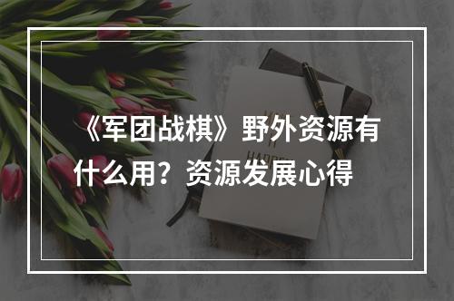 《军团战棋》野外资源有什么用？资源发展心得