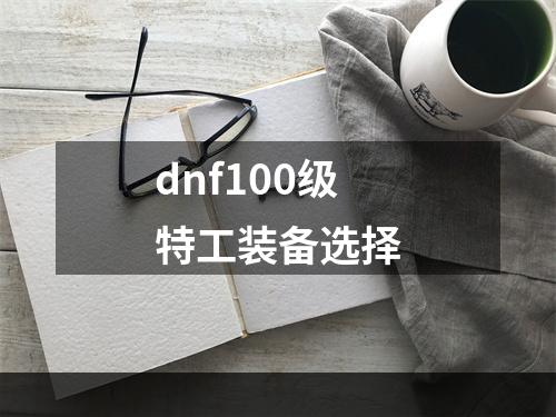 dnf100级特工装备选择