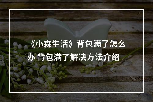 《小森生活》背包满了怎么办 背包满了解决方法介绍