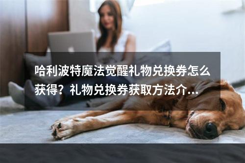 哈利波特魔法觉醒礼物兑换券怎么获得？礼物兑换券获取方法介绍[多图]