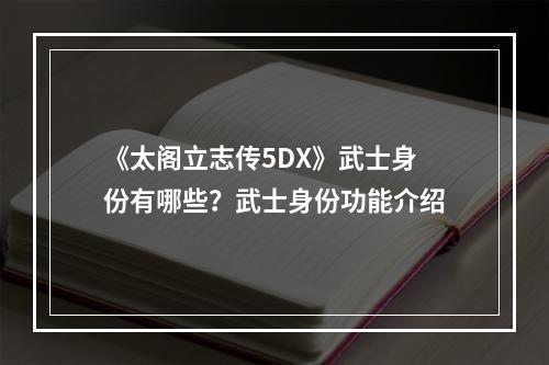 《太阁立志传5DX》武士身份有哪些？武士身份功能介绍