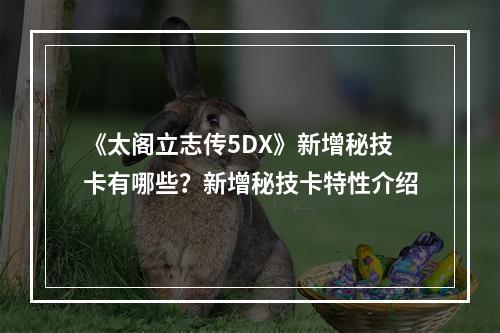 《太阁立志传5DX》新增秘技卡有哪些？新增秘技卡特性介绍