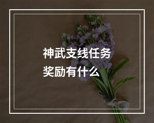 神武支线任务奖励有什么