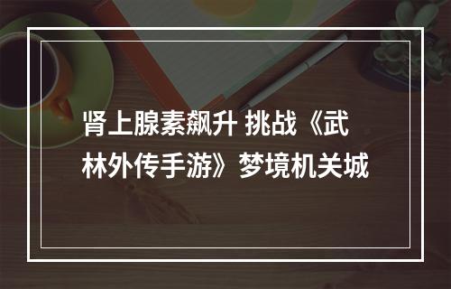 肾上腺素飙升 挑战《武林外传手游》梦境机关城