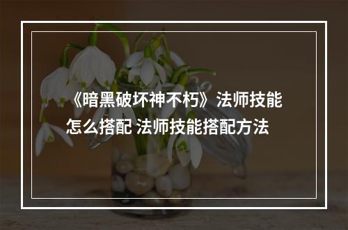 《暗黑破坏神不朽》法师技能怎么搭配 法师技能搭配方法