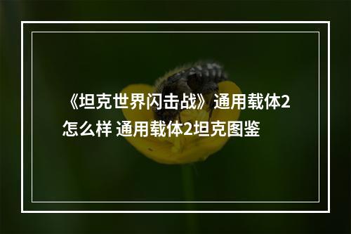 《坦克世界闪击战》通用载体2怎么样 通用载体2坦克图鉴