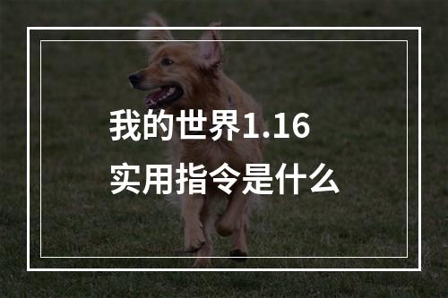 我的世界1.16实用指令是什么