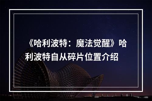 《哈利波特：魔法觉醒》哈利波特自从碎片位置介绍