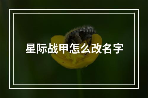 星际战甲怎么改名字