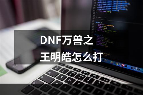 DNF万兽之王明皓怎么打