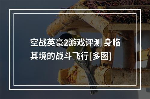 空战英豪2游戏评测 身临其境的战斗飞行[多图]