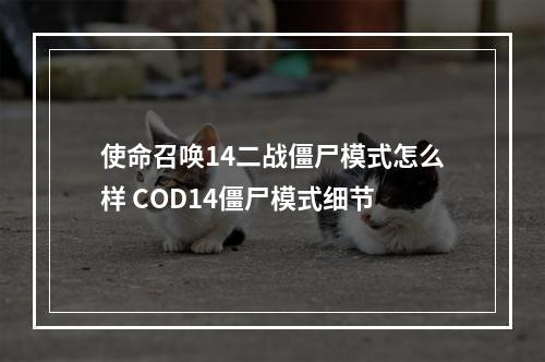 使命召唤14二战僵尸模式怎么样 COD14僵尸模式细节