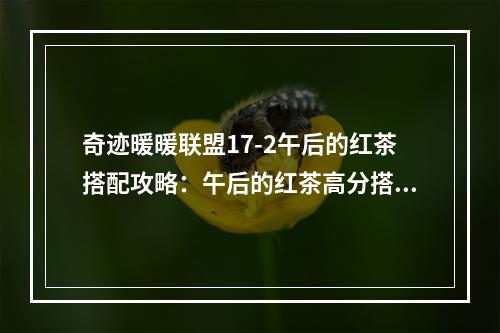 奇迹暖暖联盟17-2午后的红茶搭配攻略：午后的红茶高分搭配推荐[视频][多图]