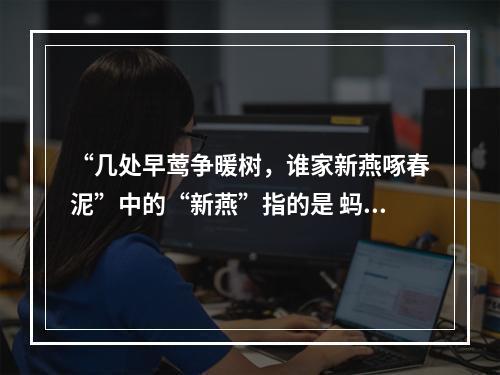 “几处早莺争暖树，谁家新燕啄春泥”中的“新燕”指的是 蚂蚁庄园今日答案11月9日